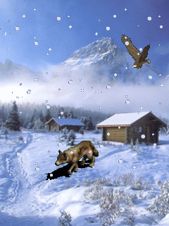 Animal Screensavers 0058